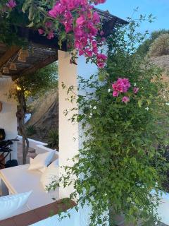 Finca Angelita - Torrox - 6