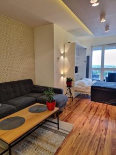 Sky View Apartment Szczecin Santocka - Stettin - 3