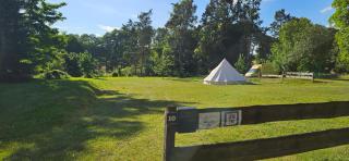 Tipi Glamping Naturcamping in der Seenplatte inklusive Strom- Dixi-WC!! #Mecklenburg-Vorpommern - Carpin - 5