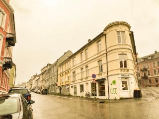 Celestial Central Apartment - Bergen - 1