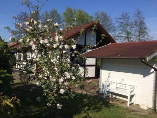 Holiday home by the pond - Twielenfleth - 5