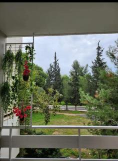 Vouliagmeni Thalassa Apartment - Athens - 7
