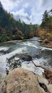 Roost Retreat - Dahlonega - 3