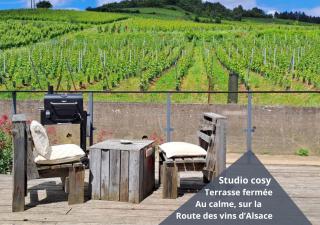 Au pied des vignes, cocon douillet et chaleureux ! - 0