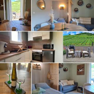Au pied des vignes, cocon douillet et chaleureux ! - 9