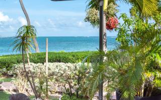 PASHA - Ocean view - Sainte-Anne - 9