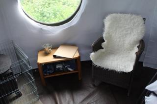 Mousley House Farm Campsite and Glamping - Warwick - 2