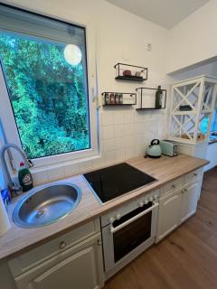 Wohnung mit schönem Aussicht - Bendorf - 4