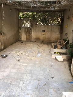 إسكندرية العجمى - Alessandria d'Egitto - 0