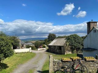 The Yard at Borough Farm - 4