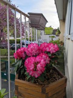 Lumineux logement T4 proche bois Vincennes - Vincennes - 1
