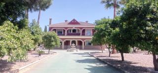 Hacienda el chorlo - Encinarejo De Córdoba - 0