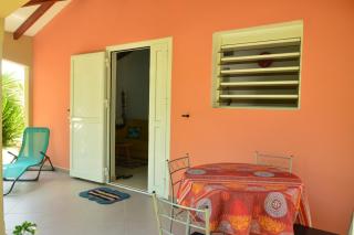 Tropical Garden - Calme et Confort - 9