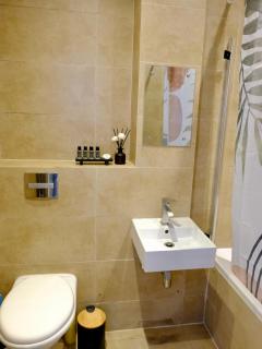 Chelsea Cosy 2 Bedroom Flat with Terrace - London - 3