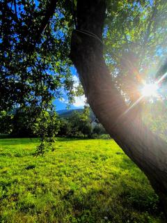 Cozy House in the Nature - Jajce - 1