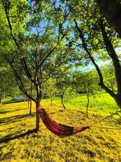Cozy House in the Nature - Jajce - 4