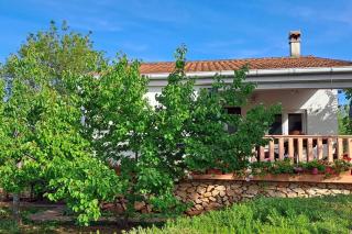 Secluded fisherman's cottage Krknata, Dugi otok - 397 - Žman - 9