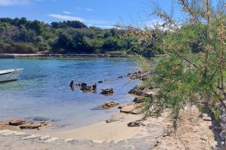 Secluded fisherman's cottage Krknata, Dugi otok - 397 - Žman - 6
