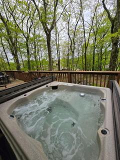 Pocono Mountain View Lake House in Lake Harmony - Lake Harmony - 8