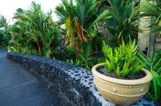 Hana Kai Maui - #101 Kaʻuiki premium oceanview 1 BR - Hana - 5