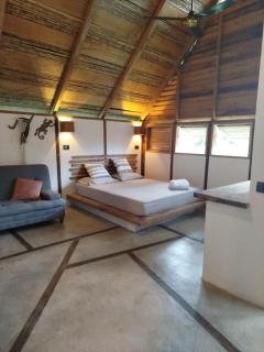 La Posada del Gecko - 6