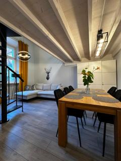 Apartament Jelonka - Jelenia Góra - 7