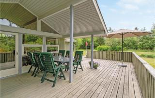 3 Bedroom Gorgeous Home In Pandrup - Pandrup - 9