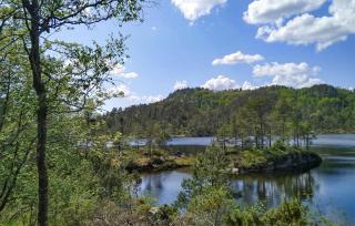 Cozy Home In Kvinesdal With Sauna - Kvinesdal - 2
