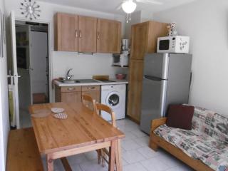 Gruissan Sud: T2, 5 Pers, Terrasse, Parking privé, 500m Des Services, Plage à 2.5km - FR-1-796-5 - Gruissan - 8