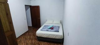 Casa Orquidea - Jardin - 7