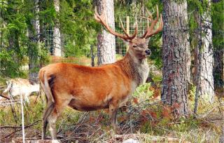Gorgeous Home In Kosta With Kitchen - 4