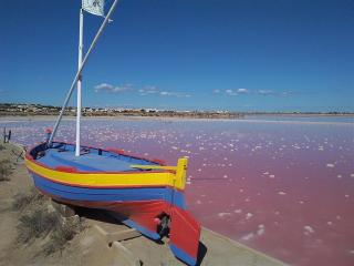 Appartement T2 moderne avec piscines, garage et proche plage - Gruissan - FR-1-796-43 - 4