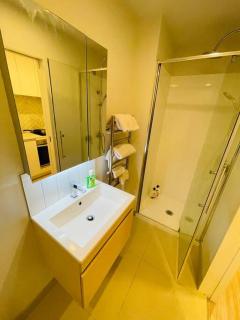 Nice Studio with High-rise view - Auckland - 1