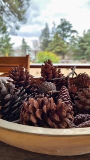 Chalet Alter Boss - La Cumbre - 2