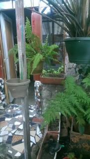 Casa Viva Apartaestudio Terraza - 5