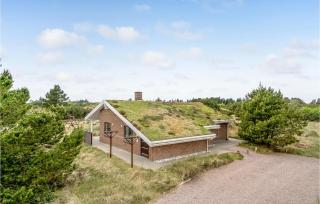 Holiday Home Solhaven Blåvand Iv - Blåvand - 0