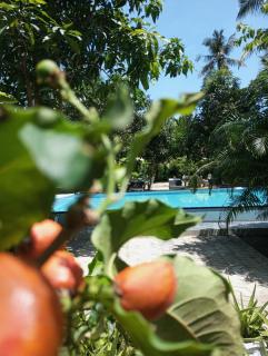 Nade villas unawatuna - Unawatuna - 9
