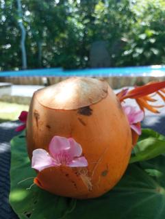 Nade villas unawatuna - Unawatuna - 8