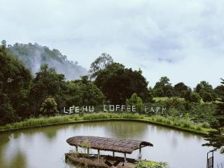 LEEHU Coffee Farm - Ban Huai Khai - 3