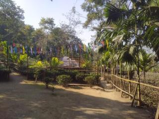 Asomi Kramsa Rock Garden Homestay - - 4
