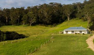 90 Sherringham lane - Central Tilba - 0