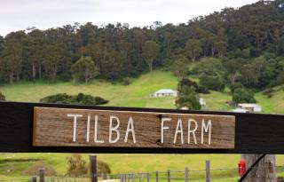 90 Sherringham lane - Central Tilba - 7