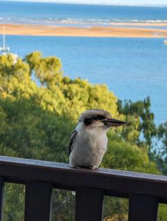 Seaview - Charming Two-Bedroom Home with Stunning Views of the Historic Bay of 1770 - Seventeen Seventy - 4