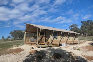 the YellowBoxWood Heathcote - Echidna Ridge and Emu Valley Tents x 2 - - 3