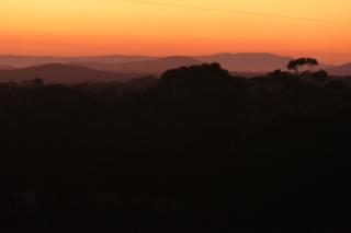 the YellowBoxWood Heathcote - Echidna Ridge and Emu Valley Tents x 2 - 2