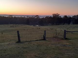 the YellowBoxWood Heathcote - Echidna Ridge and Emu Valley Tents x 2 - - 1