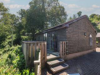 Chalet Log Cabin L2 - Ilfracombe - 0