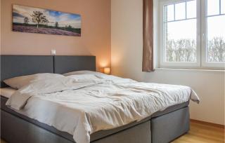Nice Home In Schneverdingen With Wifi - Schneverdingen - 3