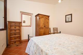 Antichi Palmenti - Mirto - San Vincenzo - 8
