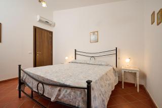 Antichi Palmenti - Mirto - San Vincenzo - 9